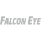 Falcon Eye