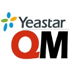 Yeastar YQMS100 Модуль QueueMetrics для S100