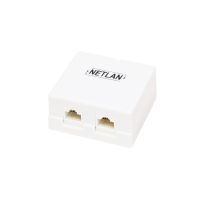 NETLAN EC-UWO-2-UD2-WT-10 Настенная розетка, 2 порта, Кат.5e (Класс D)