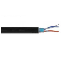 Паритет 100014 ParLan F/UTP Cat 5e 2х2х0,52 PVC/PE Кабель (бухта)